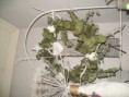 /album/bloemschikken/a100-3971-jpg/